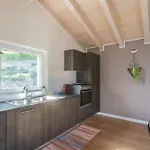 Ulivo Apartment With Lakeview