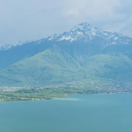 Blooms By The By Rent