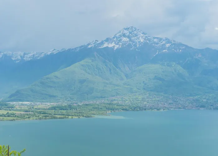 Blooms By The By Rent